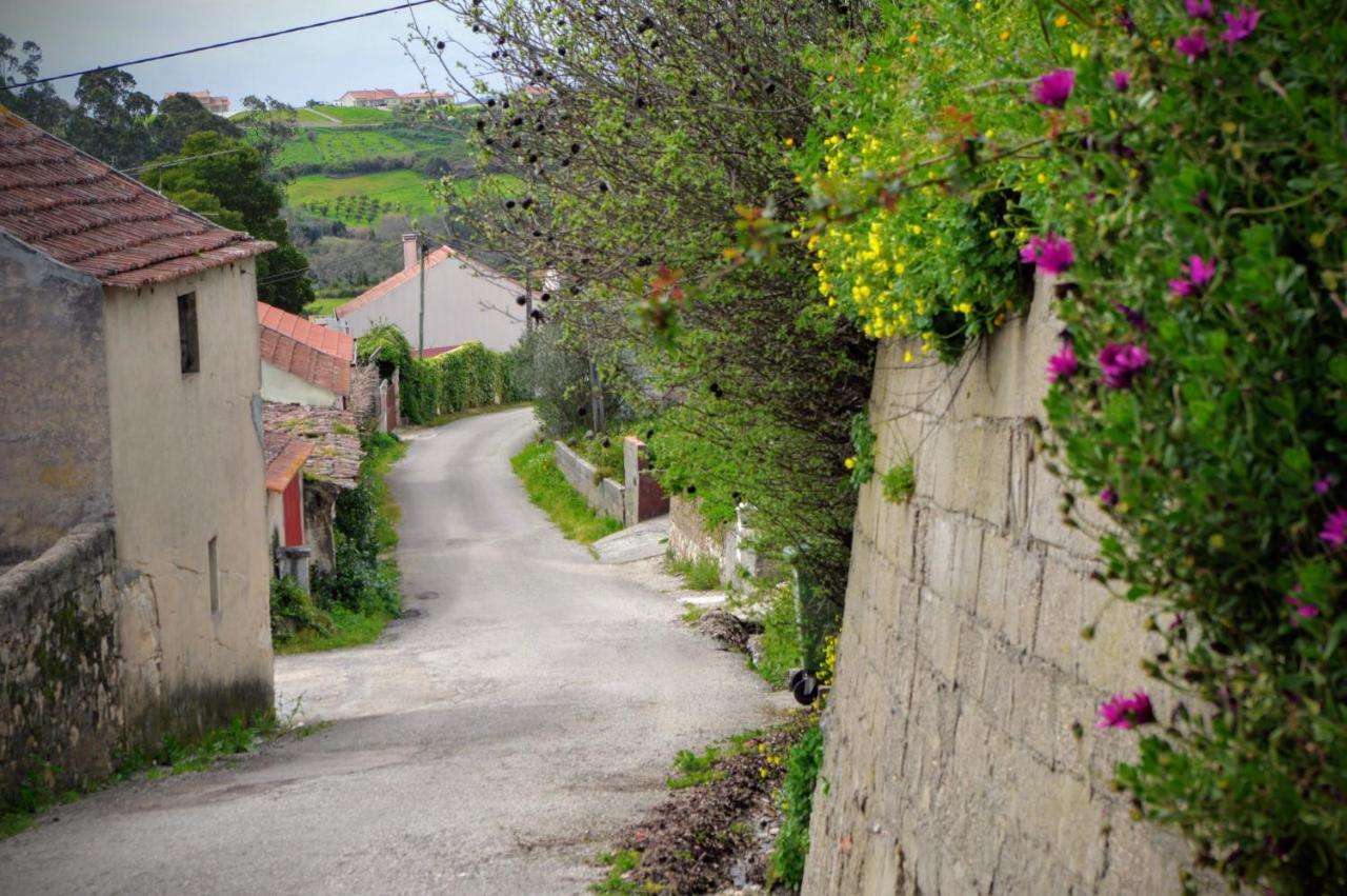Bed and Breakfast Quintinha Do Outeirinho Soure Zewnętrze zdjęcie